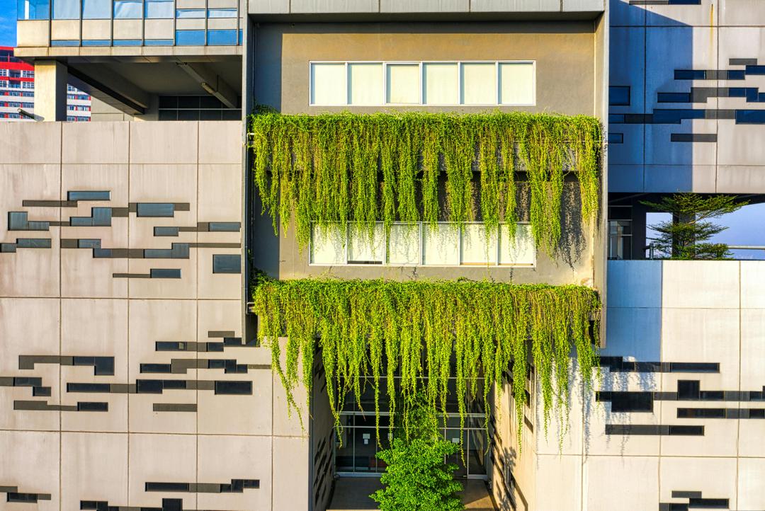 Sustainability and Green Building Consultancy